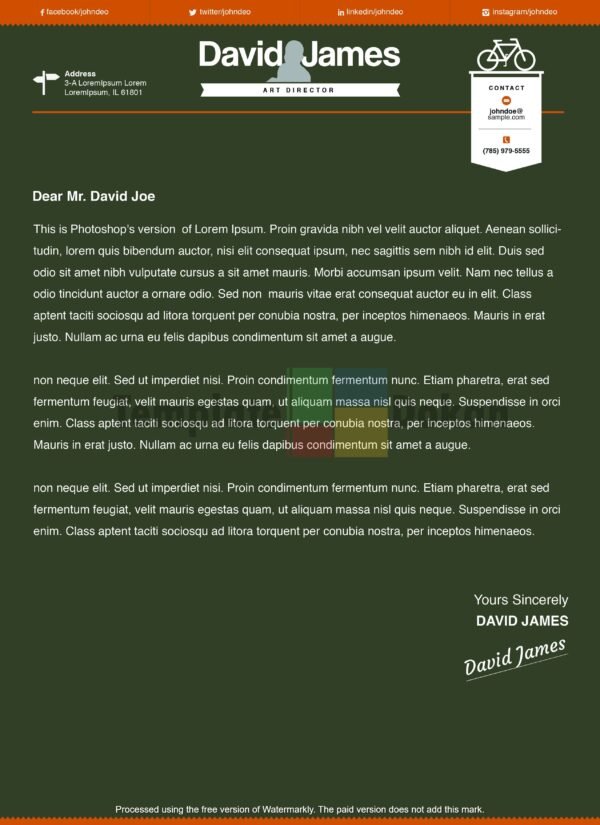 Executive Resume Cover Letter Template